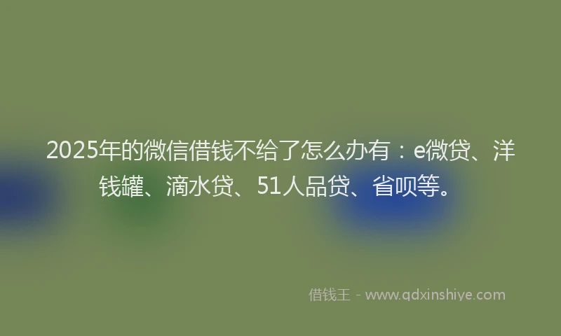 2025年的微信借钱不给了怎么办有：e微贷、洋钱罐、滴水贷、51人品贷、省呗等。