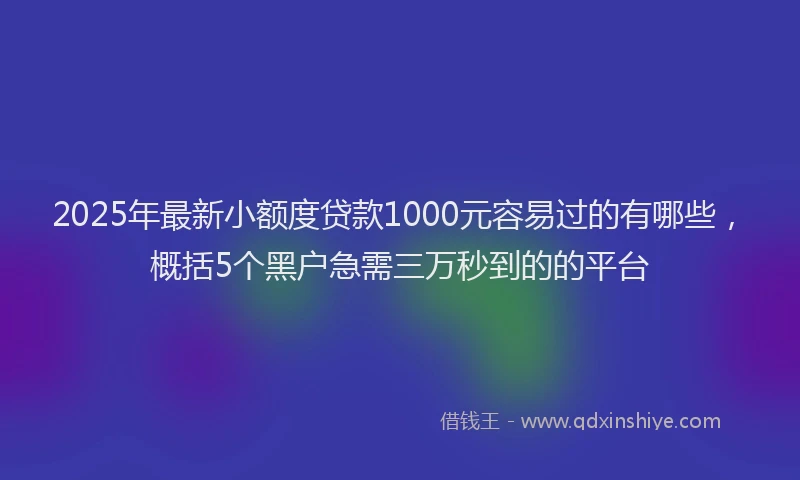 2025年最新小额度贷款1000元容易过的有哪些，概括5个黑户急需三万秒到的的平台