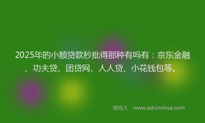 2025年的小额贷款秒批得那种有吗有：京东金融、功夫贷、团贷网、人人贷、小花钱包等。
