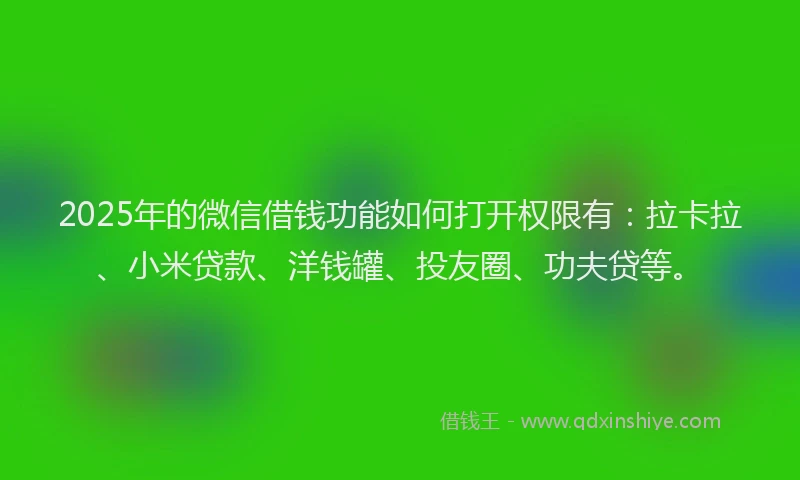 2025年的微信借钱功能如何打开权限有：拉卡拉、小米贷款、洋钱罐、投友圈、功夫贷等。