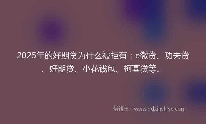 2025年的好期贷为什么被拒有：e微贷、功夫贷、好期贷、小花钱包、柯基贷等。