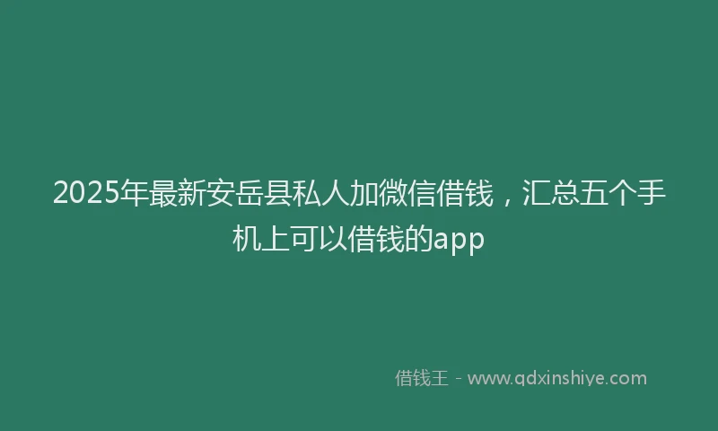 2025年最新安岳县私人加微信借钱，汇总五个手机上可以借钱的app