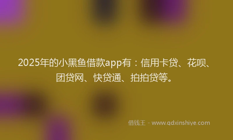 2025年的小黑鱼借款app有：信用卡贷、花呗、团贷网、快贷通、拍拍贷等。