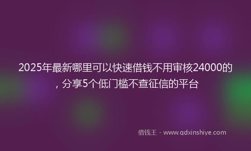 2025年最新哪里可以快速借钱不用审核24000的，分享5个低门槛不查征信的平台