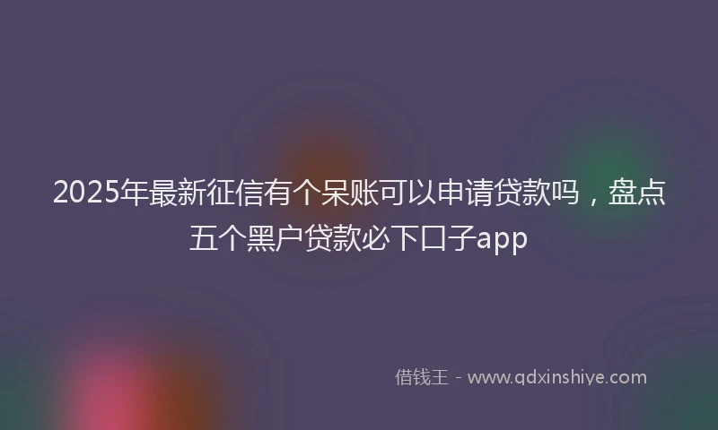 2025年最新征信有个呆账可以申请贷款吗，盘点五个黑户贷款必下口子app