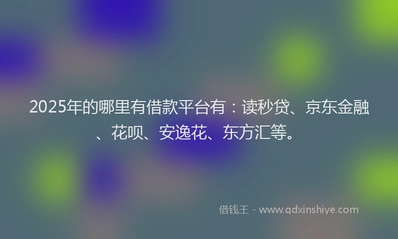 2025年的哪里有借款平台有：读秒贷、京东金融、花呗、安逸花、东方汇等。