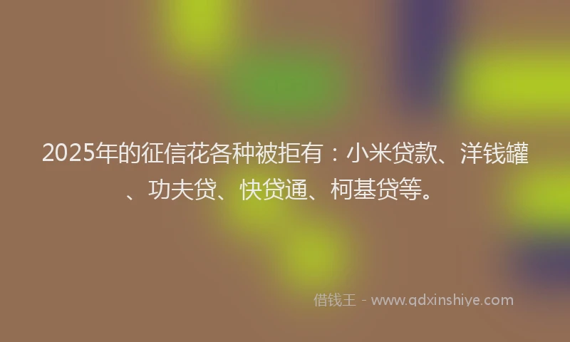 2025年的征信花各种被拒有：小米贷款、洋钱罐、功夫贷、快贷通、柯基贷等。