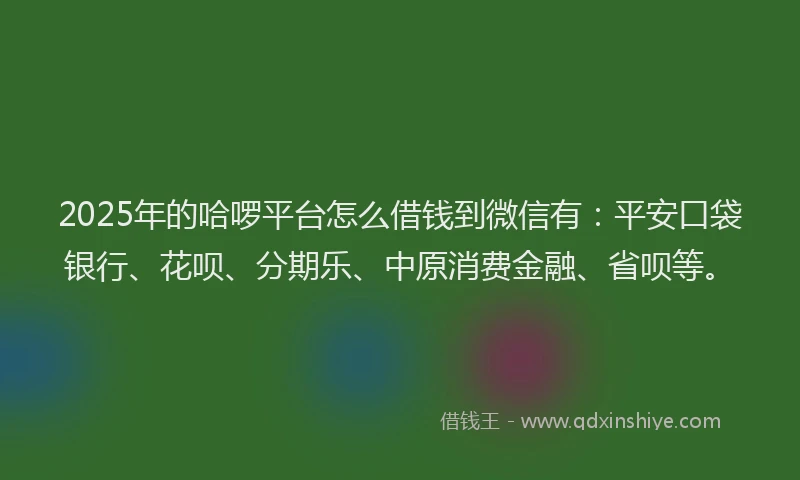 2025年的哈啰平台怎么借钱到微信有：平安口袋银行、花呗、分期乐、中原消费金融、省呗等。