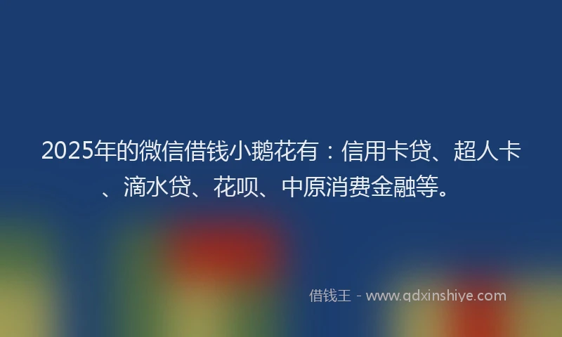 2025年的微信借钱小鹅花有：信用卡贷、超人卡、滴水贷、花呗、中原消费金融等。