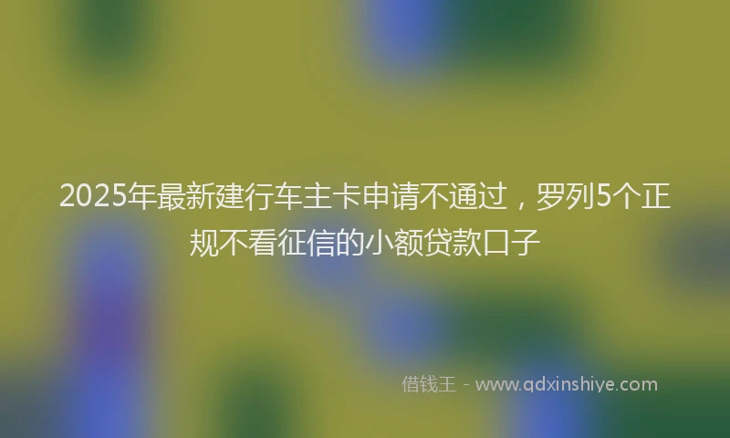 2025年最新建行车主卡申请不通过，罗列5个正规不看征信的小额贷款口子