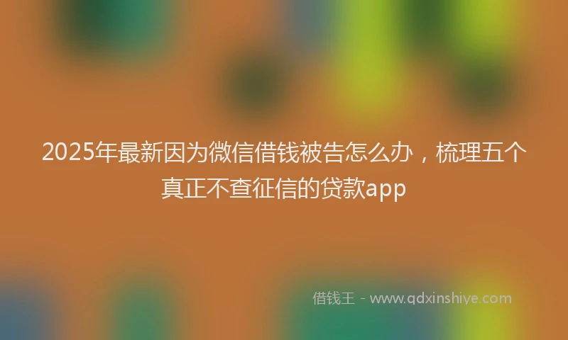2025年最新因为微信借钱被告怎么办，梳理五个真正不查征信的贷款app
