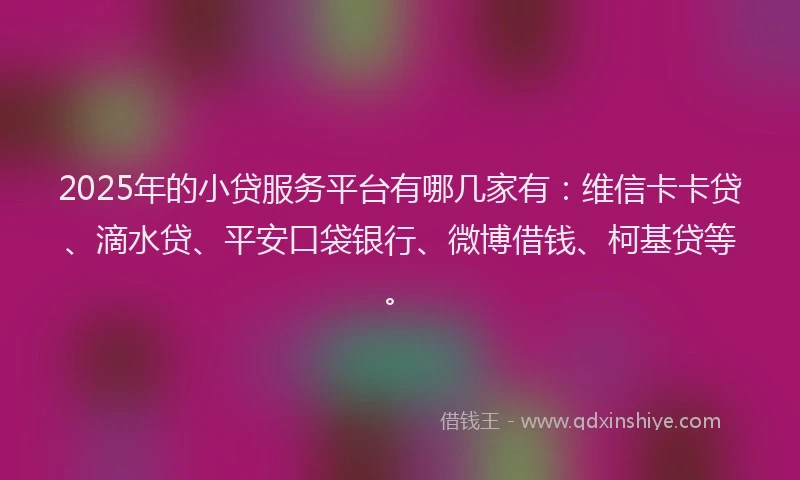 2025年的小贷服务平台有哪几家有：维信卡卡贷、滴水贷、平安口袋银行、微博借钱、柯基贷等。