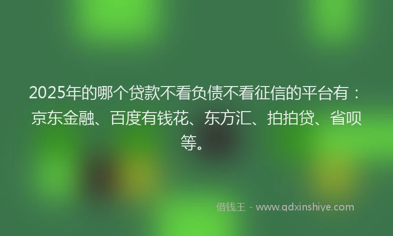 2025年的哪个贷款不看负债不看征信的平台有：京东金融、百度有钱花、东方汇、拍拍贷、省呗等。