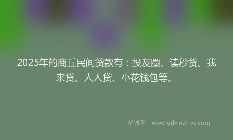 2025年的商丘民间贷款有：投友圈、读秒贷、我来贷、人人贷、小花钱包等。