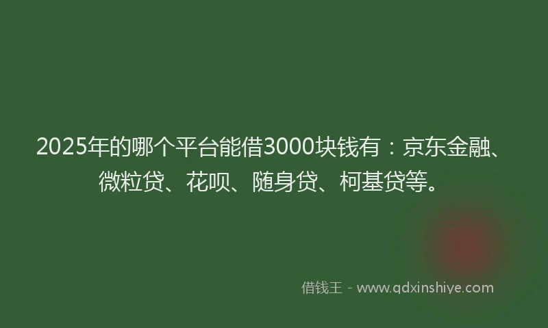 2025年的哪个平台能借3000块钱有：京东金融、微粒贷、花呗、随身贷、柯基贷等。