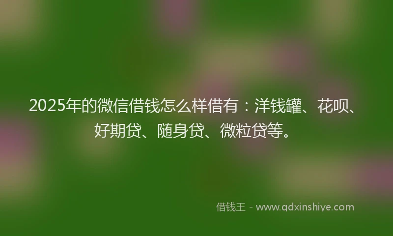 2025年的微信借钱怎么样借有：洋钱罐、花呗、好期贷、随身贷、微粒贷等。