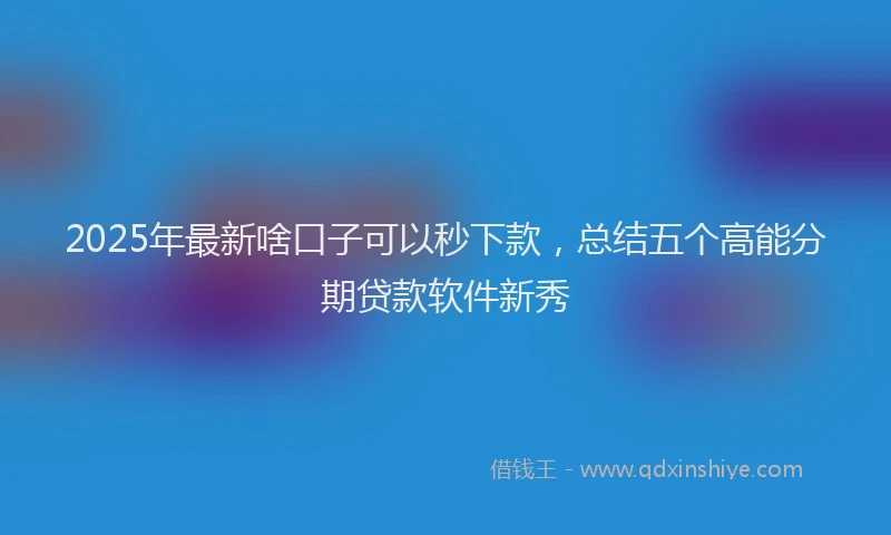 2025年最新啥口子可以秒下款，总结五个高能分期贷款软件新秀