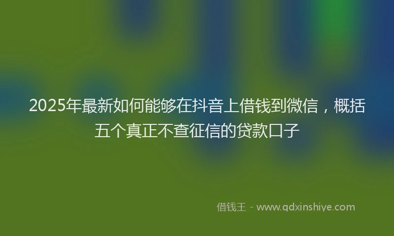 2025年最新如何能够在抖音上借钱到微信，概括五个真正不查征信的贷款口子