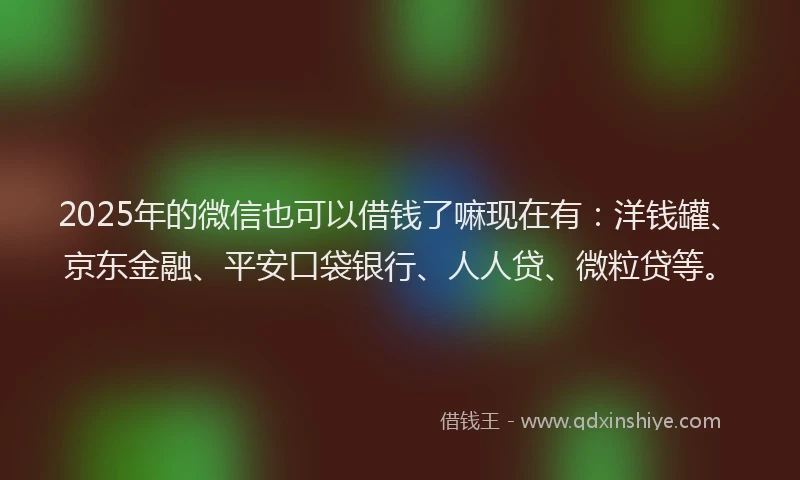 2025年的微信也可以借钱了嘛现在有：洋钱罐、京东金融、平安口袋银行、人人贷、微粒贷等。