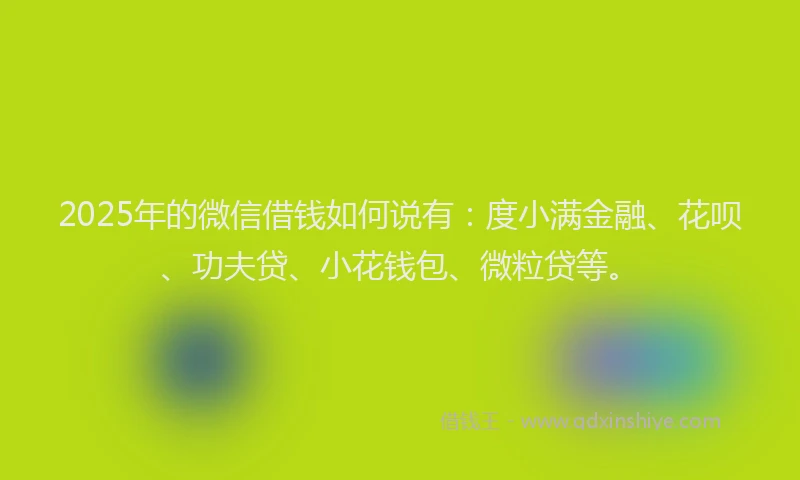 2025年的微信借钱如何说有：度小满金融、花呗、功夫贷、小花钱包、微粒贷等。
