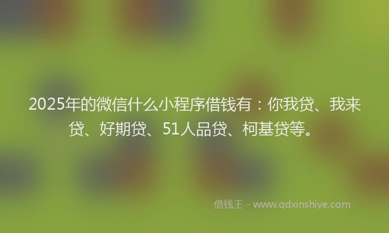 2025年的微信什么小程序借钱有：你我贷、我来贷、好期贷、51人品贷、柯基贷等。