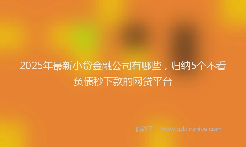 2025年最新小贷金融公司有哪些，归纳5个不看负债秒下款的网贷平台