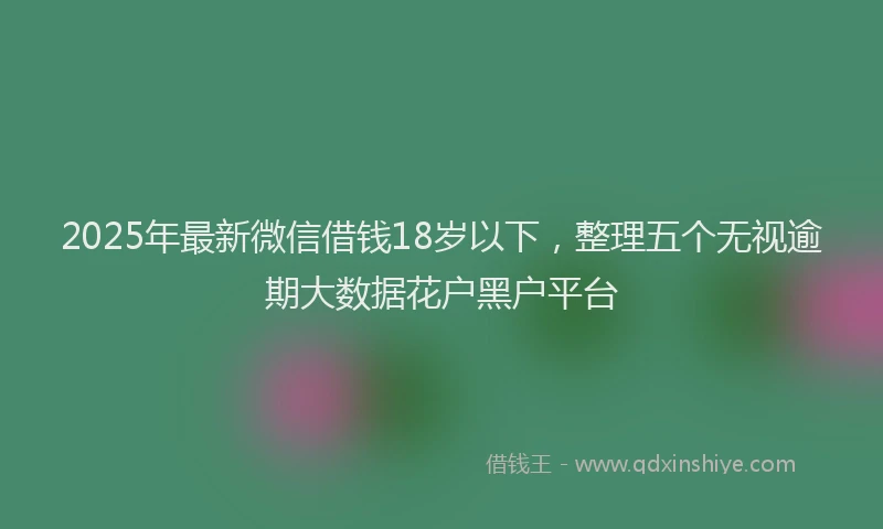 2025年最新微信借钱18岁以下，整理五个无视逾期大数据花户黑户平台
