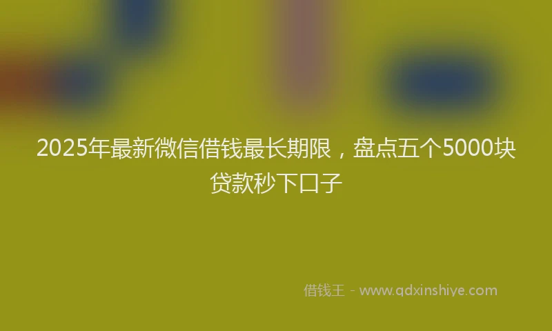 2025年最新微信借钱最长期限，盘点五个5000块贷款秒下口子
