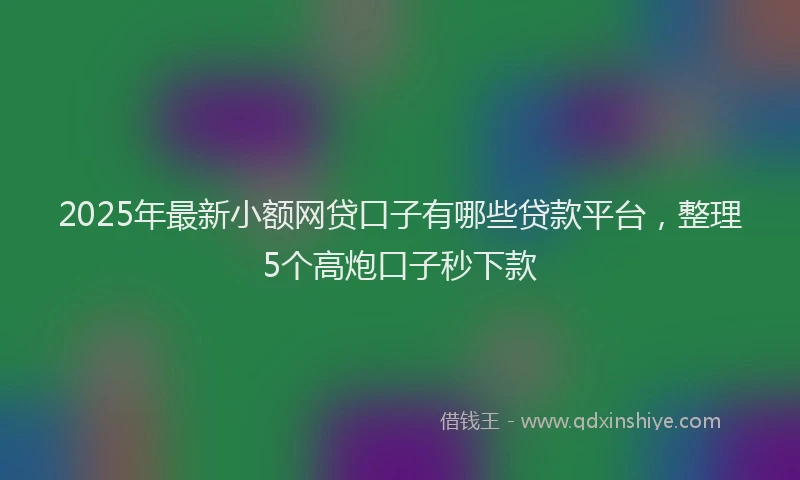 2025年最新小额网贷口子有哪些贷款平台，整理5个高炮口子秒下款