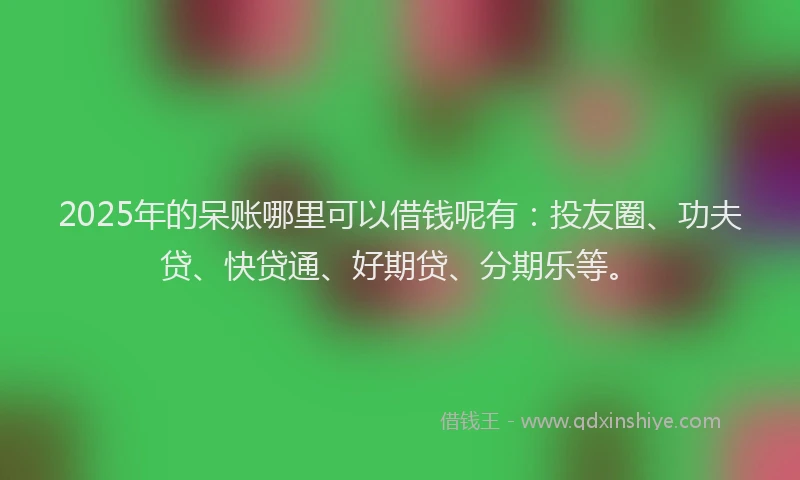 2025年的呆账哪里可以借钱呢有：投友圈、功夫贷、快贷通、好期贷、分期乐等。