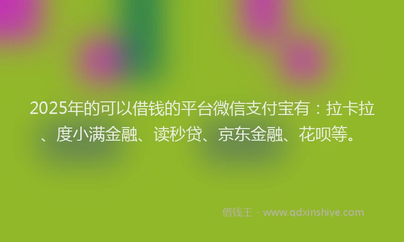 2025年的可以借钱的平台微信支付宝有：拉卡拉、度小满金融、读秒贷、京东金融、花呗等。