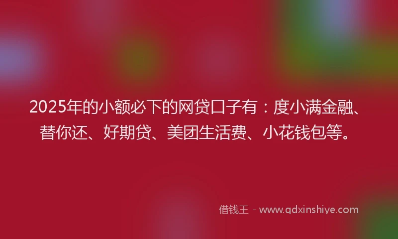 2025年的小额必下的网贷口子有：度小满金融、替你还、好期贷、美团生活费、小花钱包等。