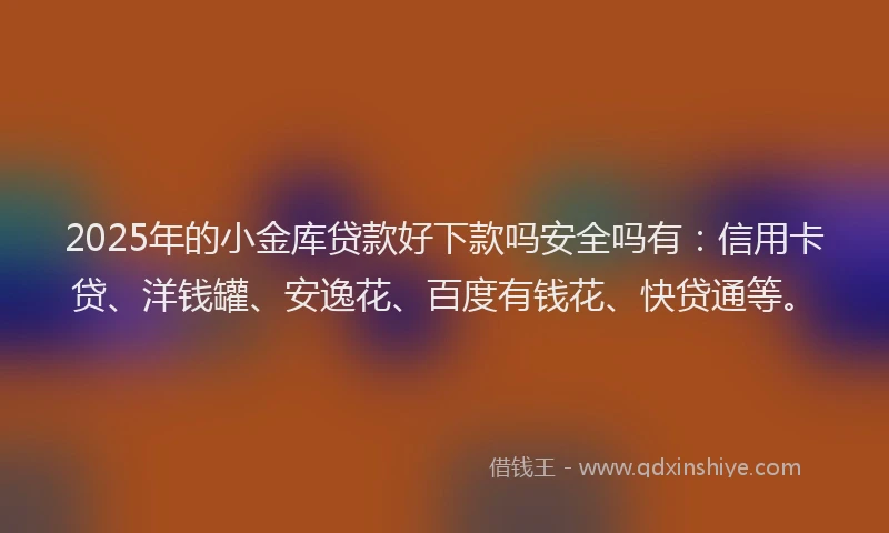 2025年的小金库贷款好下款吗安全吗有：信用卡贷、洋钱罐、安逸花、百度有钱花、快贷通等。