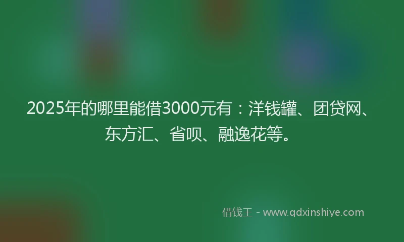 2025年的哪里能借3000元有：洋钱罐、团贷网、东方汇、省呗、融逸花等。