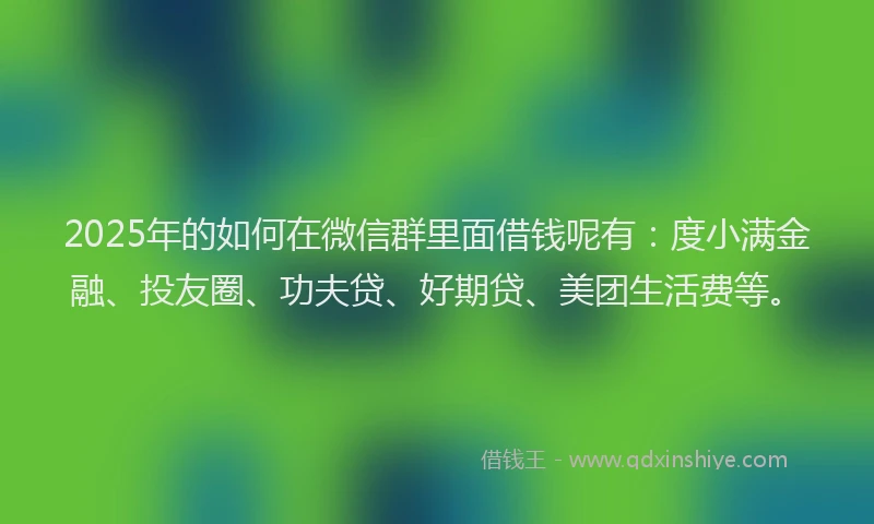2025年的如何在微信群里面借钱呢有：度小满金融、投友圈、功夫贷、好期贷、美团生活费等。