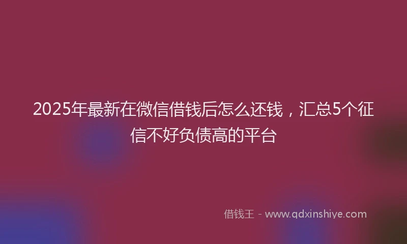 2025年最新在微信借钱后怎么还钱，汇总5个征信不好负债高的平台