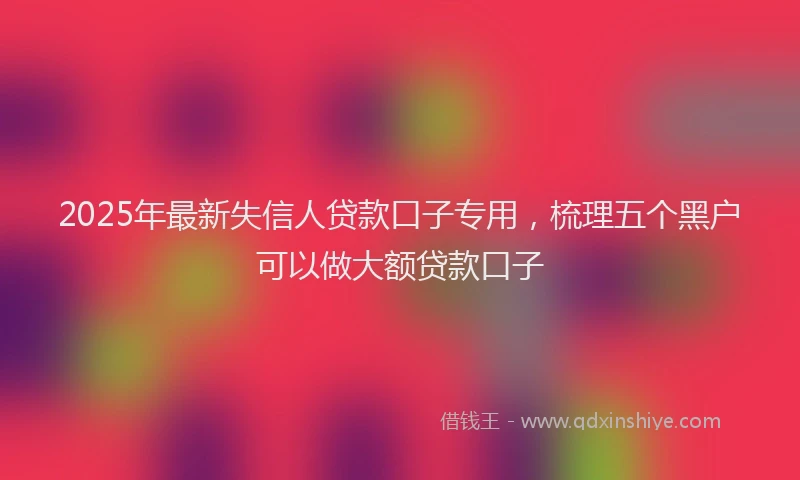 2025年最新失信人贷款口子专用，梳理五个黑户可以做大额贷款口子