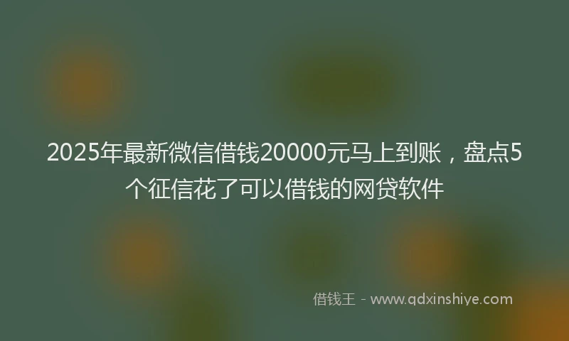 2025年最新微信借钱20000元马上到账，盘点5个征信花了可以借钱的网贷软件