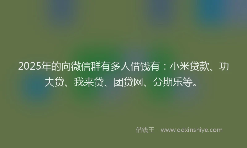 2025年的向微信群有多人借钱有：小米贷款、功夫贷、我来贷、团贷网、分期乐等。