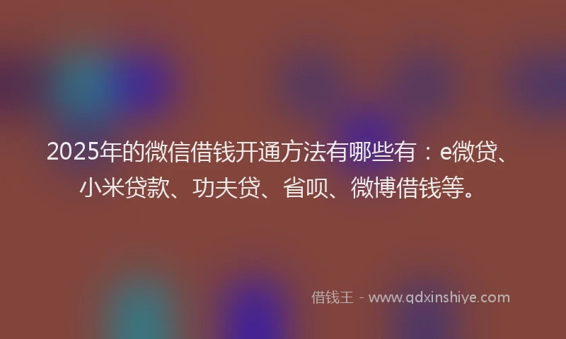 2025年的微信借钱开通方法有哪些有：e微贷、小米贷款、功夫贷、省呗、微博借钱等。