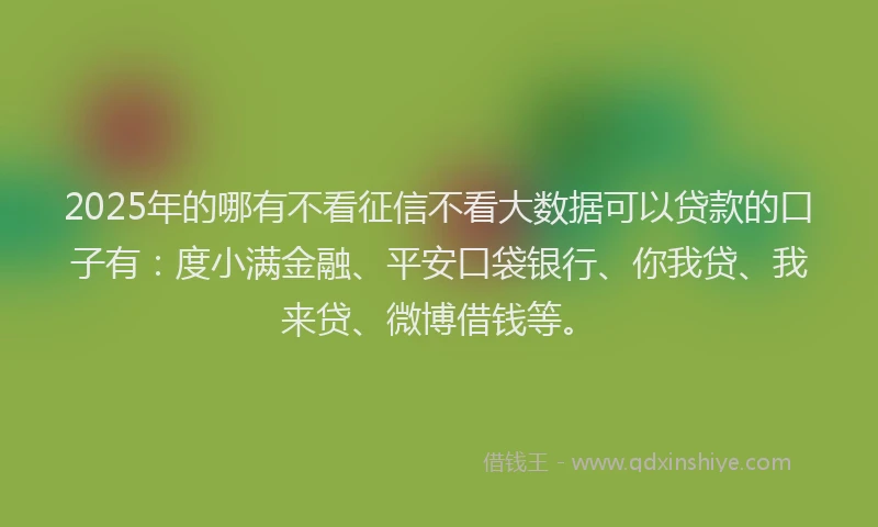 2025年的哪有不看征信不看大数据可以贷款的口子有：度小满金融、平安口袋银行、你我贷、我来贷、微博借钱等。