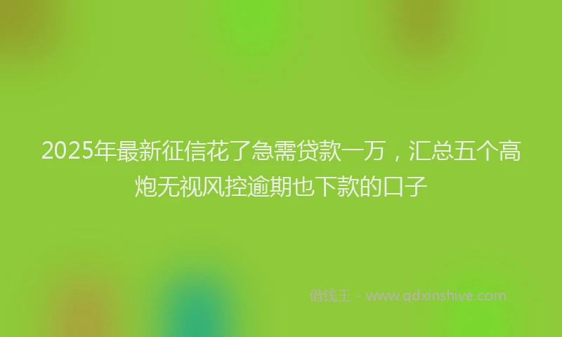 2025年最新征信花了急需贷款一万，汇总五个高炮无视风控逾期也下款的口子