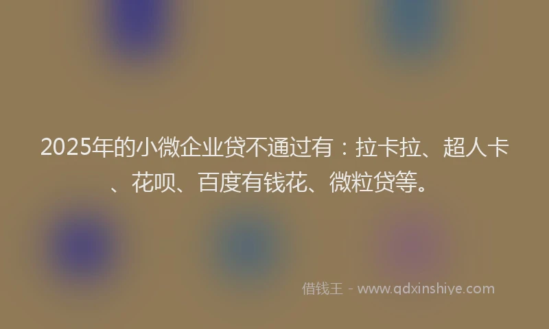 2025年的小微企业贷不通过有：拉卡拉、超人卡、花呗、百度有钱花、微粒贷等。