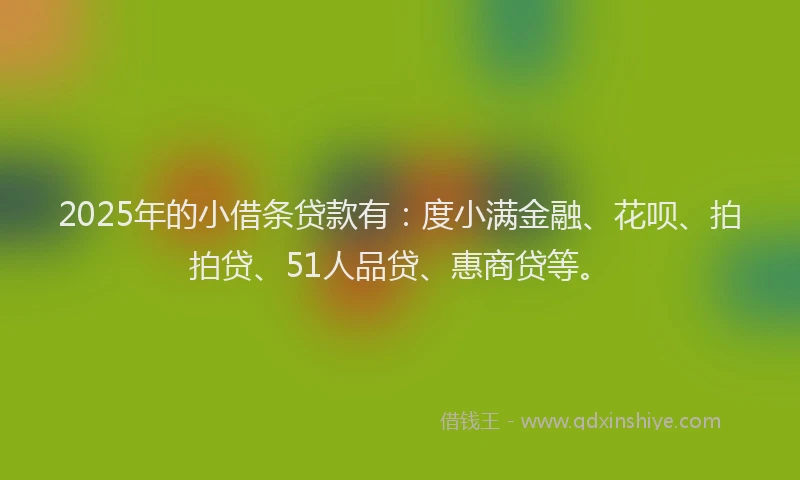 2025年的小借条贷款有：度小满金融、花呗、拍拍贷、51人品贷、惠商贷等。