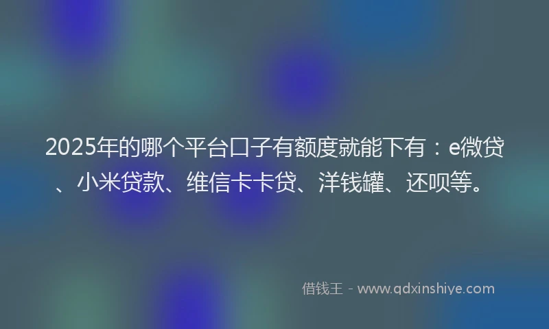2025年的哪个平台口子有额度就能下有：e微贷、小米贷款、维信卡卡贷、洋钱罐、还呗等。