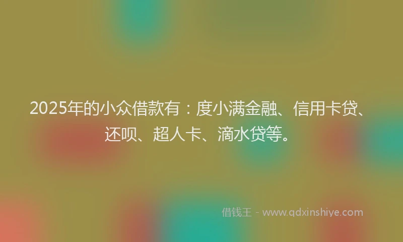2025年的小众借款有：度小满金融、信用卡贷、还呗、超人卡、滴水贷等。
