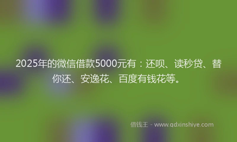 2025年的微信借款5000元有：还呗、读秒贷、替你还、安逸花、百度有钱花等。