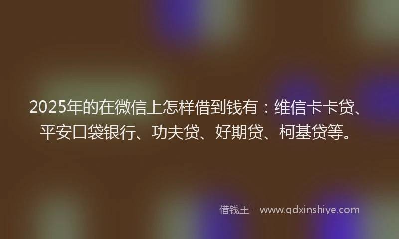 2025年的在微信上怎样借到钱有：维信卡卡贷、平安口袋银行、功夫贷、好期贷、柯基贷等。