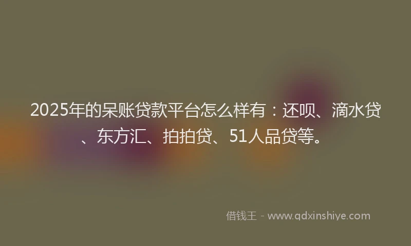 2025年的呆账贷款平台怎么样有：还呗、滴水贷、东方汇、拍拍贷、51人品贷等。