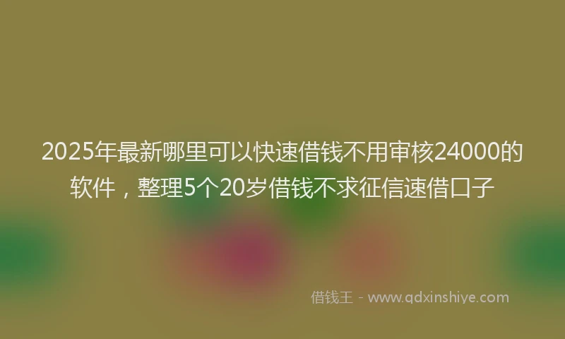 2025年最新哪里可以快速借钱不用审核24000的软件，整理5个20岁借钱不求征信速借口子